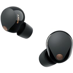 Sony WF-1000XM5 True Wireless Noise Cancelling Earbuds (Black)