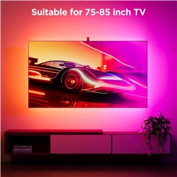 Govee 3S 75'-85' Immersion Kit with Matter