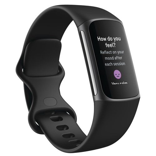 Fitbit Charge 5 (Black/Graphite)